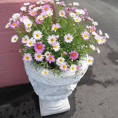 Frühstückspension Blume *