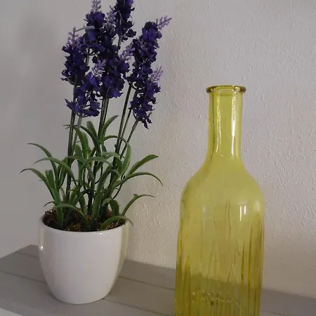Blume * Auenheim